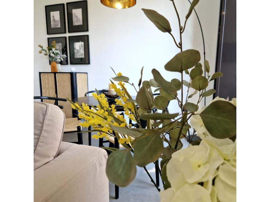 Duplex De Diseno Centro-catedral *